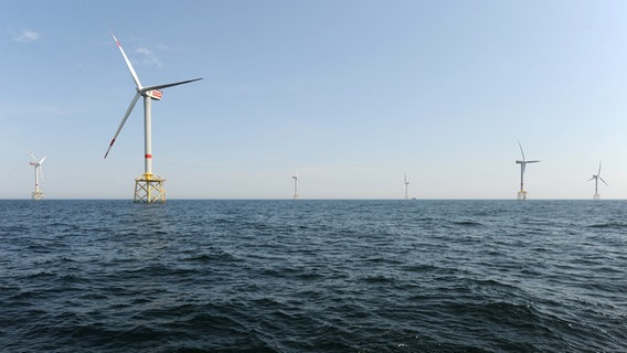 Der Offshore-Windpark "Alpha Ventus" Der Offshore-Windpark "Alpha Ventus" © dpa-Bildfunk Foto: Ingo Wagner