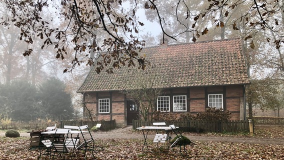 Vor einem Fachwerkhaus stehen weiße Stühle an Tischen im Herbstlaub. © NDR Foto: Thomas Schwierzi