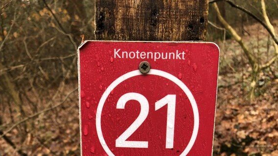 Auf einem Schild im Wald sind durch Nummern zwei Wanderwege ausgeschildert. © NDR Foto: Jutta Przygoda