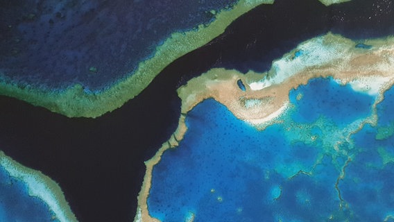 Eine Satelliten-Aufnahme zeigt eine Korallenbleiche. © Google earth 