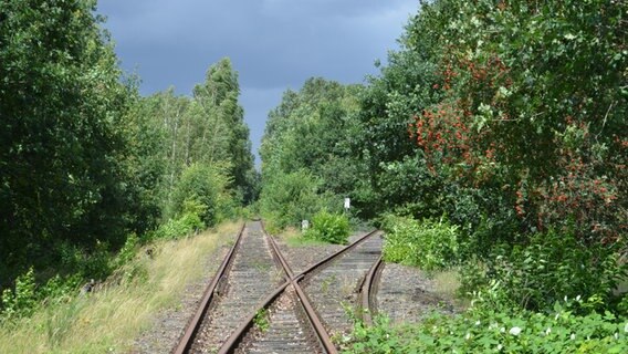 Auf der stillgelegten Bahnstrecke zwischen Sulfingen und Bassum im Kreis Diepholz teilen sich zwei Gleise. © NDR Foto: Andreas Barnickel