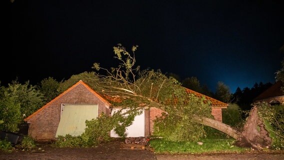 Ein umgestürzter Baum liegt auf einer Garage. © dpa-Bildfunk Foto: Mohssen Assanimoghaddam