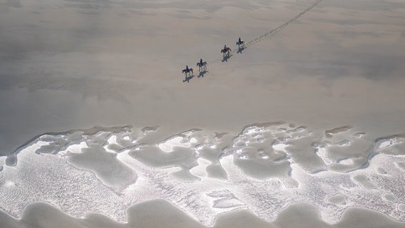 Reiter im Watt vor der ostfriesischen Insel Borkum. © dpa-Bildfunk Foto: Sina Schuldt/dpa