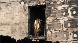 Eine verkohlte Decke hängt nach einem Großbrand in Delmenhorst in einem Fenster. © dpa Foto: Carmen Jaspersen