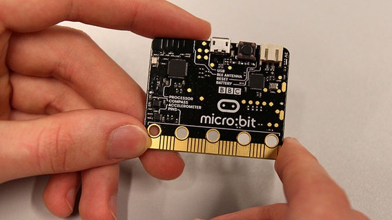 Eine Hand hält die Platine micro:bit. © NDR Foto: Oliver Gressieker