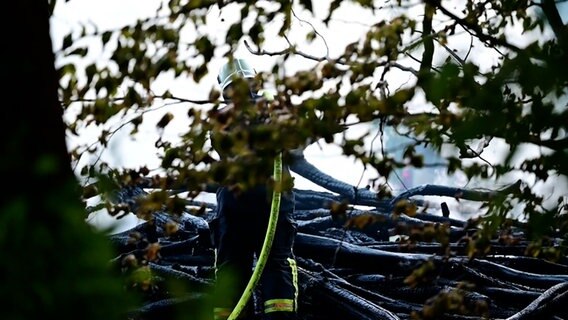 Ein Feuerwehrmann löscht ein brennendes Waldstück. © NonstopNews 