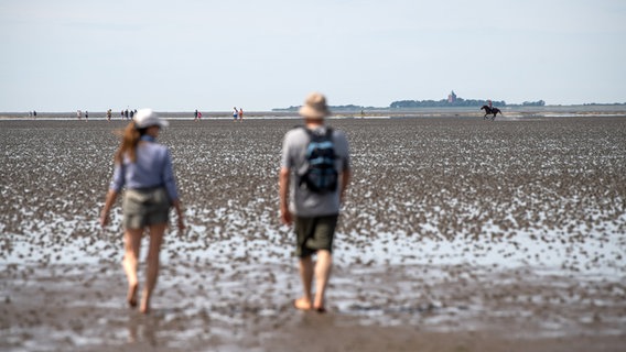 Spaziergänger laufen auf die Insel Neuwerk zu. © dpa-Bildfunk Foto: Sina Schuldt