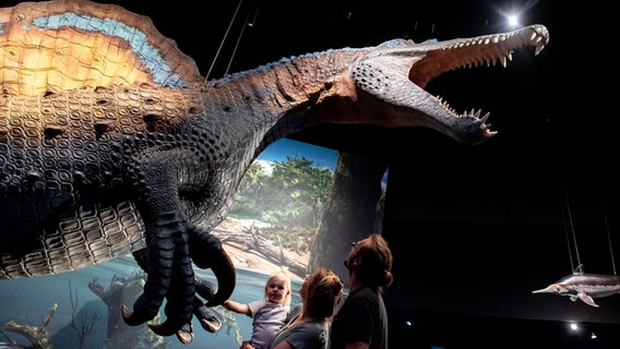 Eine Familie betrachtet ein lebensgroßes Modell eines Spinosaurus in der neuen Erlebnisausstellung "Saurier - Giganten der Meere" im Aquarium Wilhelmshaven. © Hauke-Christian Dittrich/dpa Foto: Hauke-Christian Dittrich