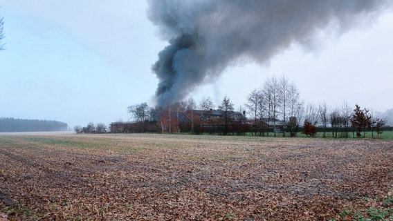 Eine Rauchwolke steigt von einem Bauernhof bei Dörpen auf. © Nord-West-Media-TV 