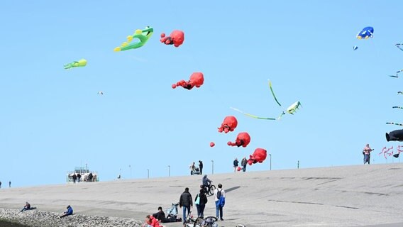 Viele bunte Drachen wehen über dem Strand von Norddeich. © Lars Penning/dpa Foto: Lars Penning