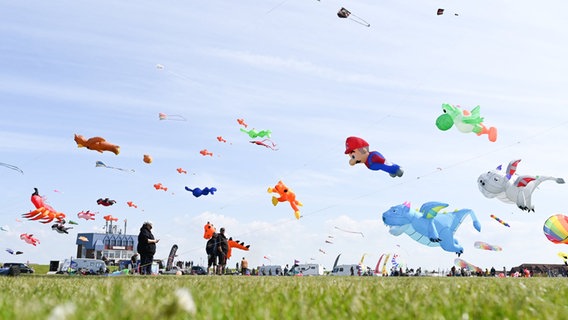 Viele bunte Drachen wehen über dem Strand von Norddeich. © Lars Penning/dpa Foto: Lars Penning