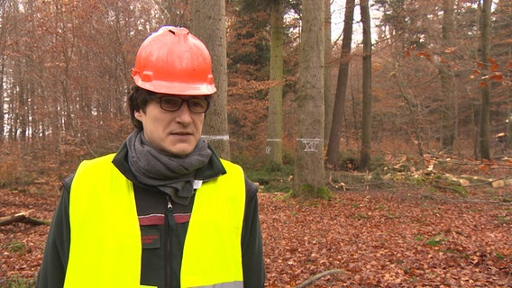 Marco Becker von der Revierförsterei Erdmannshausen spricht vor einer Kamera. © NDR 