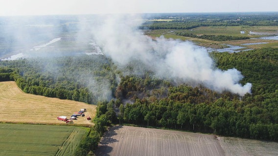 Rauch steigt bei einem Moorbrand aus einem Waldstück auf. © dpa-Bildfunk Foto: -/Nord-West-Media/dpa