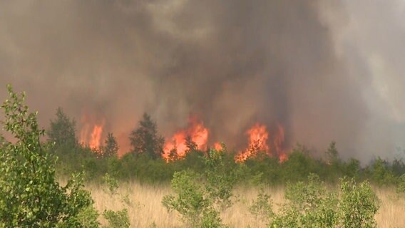 Feuer im Moorgebiet. © NonstopNews 