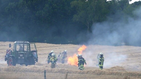 Ein Stoppelfeld brennt. © TeleNewsNetwork 