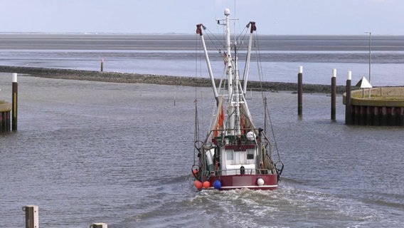 Ein Kutter in Krummhörn. Von hier aus findet eine Suche nach einem vermissten Fischer statt. © NonstopNews Foto: Marcel Zimmering