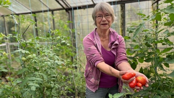 Ein Mitglied einer Gartengemeinschaft hält Tomaten in die Kamera in einem Gemeinschaftsgarten. © NDR Foto: Catherine Grim