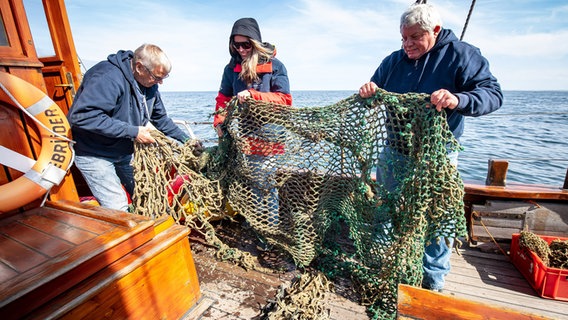 Ein geborgenes Geisternetz wird an Bord des Begleitschiffes begutachtet. © dpa-Bildfunk Foto: Sina Schuldt/dpa