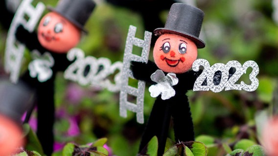 Kleepflanzen mit einem kleinen Schornsteinfeger und der Jahreszahl «2023» stehen auf einem Transportwagen in einem Gartenbaubetrieb in Weener. © dpa-Bildfunk Foto: Hauke-Christian Dittrich/dpa