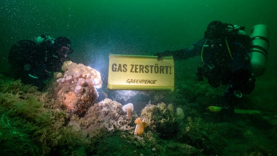 Taucher der Firma "Submaris" halten ein Schild von "Greenpeace" im Wasser vor Borkum in den Händen. © Uli Kunz / Submaris / Greenpeace Foto: Uli Kunz