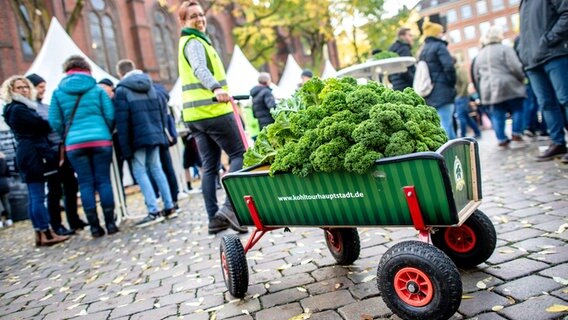 Eine Frau zieht einen Bollerwagen mit Grünkohl hinter sich her. © dpa-Bildfunk Foto: Hauke-Christian Dittrich
