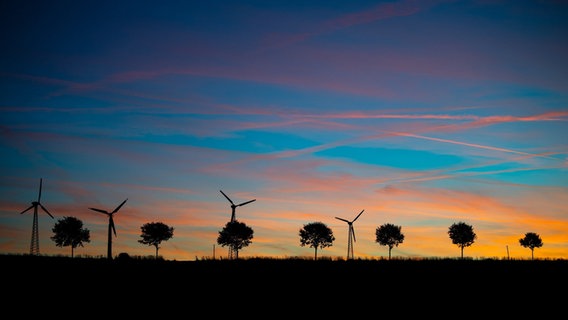 Hinter einer reihen von Bäumen und Windrädern geht bei Syke die Sonne auf. © Sina Schuldt/dpa Foto: Sina Schuldt
