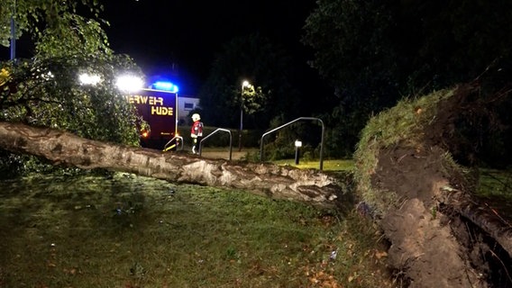 In Hude (Landkreis Oldenburg) liegt ein entwurzelter Baum auf dem Boden. Hier hat es vermutlich eine Windhose gegeben. © NWM 