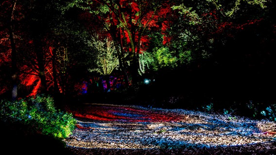 Ein Muster wird in der "Lichtkathedrale" des Lichtkünstlers Wolfgang Flammersfeld im Park der Gärten auf einen Weg projiziert. © dpa-Bildfunk Foto: Hauke-Christian Dittrich