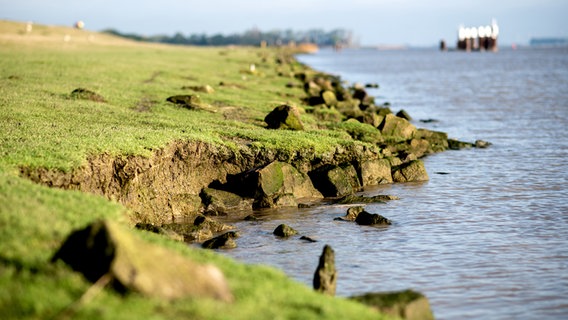Jemgum: Das Wasser der Ems unterspült nahe des Ortsteils Soltborg eine Abbruchkante im Deich. © dpa-Bildfunk Foto:  Hauke-Christian Dittrich