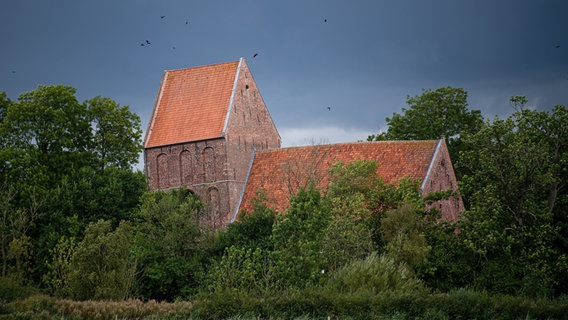 Eine Kirche mit einem schiefen Kirchturm. © picture alliance/dpa | Sina Schuldt Foto: Sina Schuldt