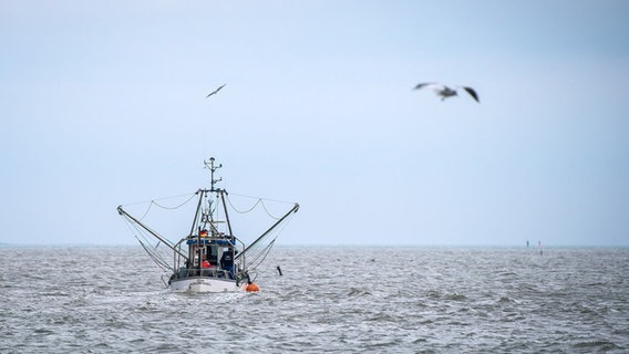 Horumersiel: Ein Krabbenkutter fährt aus dem Hafen. © picture-alliance Foto: Sina Schuldt