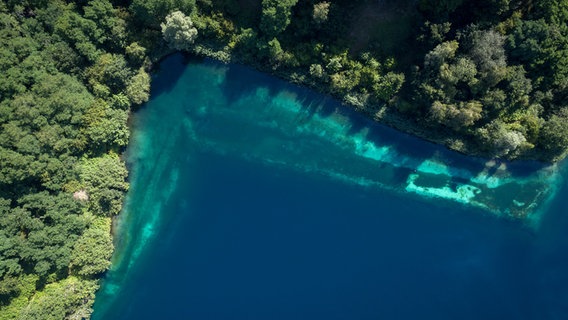 Eine Luftaufnahme zeigt den Kreidesee. © dpa-Bildfunk Foto: Sina Schuldt