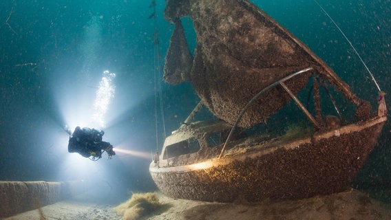 A diver examines a shipwreck in the Cretaceous Sea.  © dpa-Bildfunk Photo: Julian Mühlenhaus