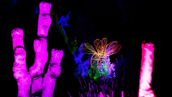 Bad Zwischenahn: Mehrere Kunstobjekte stehen im Park der Gärten in einem Beet und werden von Scheinwerfern beleuchtet. © Hauke-Christian Dittrich/dpa Foto: Hauke-Christian Dittrich