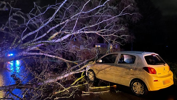 Ein durch das Sturmtief Ylenia umgestürzter Baum auf einem Auto. © Kreisfeuerwehrverband Aurich 