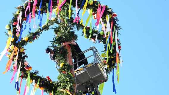 Männer stellen in Leer einen Maibaum auf. © dpa Foto: Lars Penning