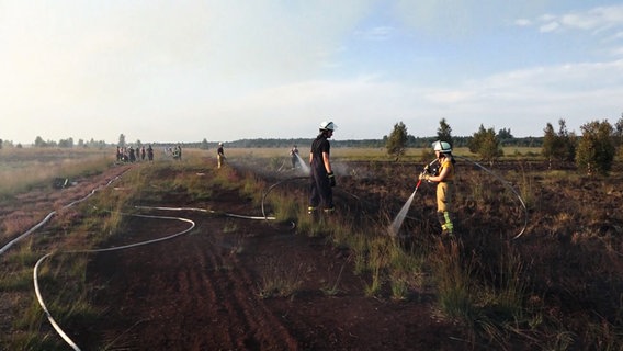 Einsatzkräfte der Feuerwehr beim Löschen einer Moor-/Heidefläche. © Nonstopnews 