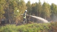 Einsatzkräfte der Feuerwehr löschen eine brennende Moorfläche. © Nord-West-Media TV 