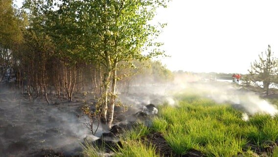 Einsatzkräfte der Feuerwehr löschen eine brennende Moorfläche. © Nord-West-Media TV 