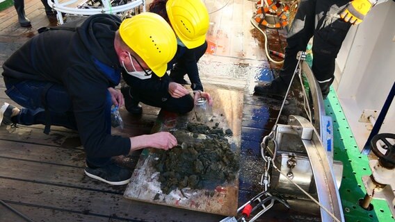 Meeresbiologe Matthias Brenner und Ute Marx untersuchen die Sedimentproben und die biologischen Proben an Bord der "Heincke". © Vlaams Instituut voor de Zee (VLIZ) 