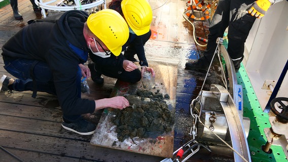 Meeresbiologe Matthias Brenner und Ute Marx untersuchen die Sedimentproben und die biologischen Proben an Bord der "Heincke". © Vlaams Instituut voor de Zee (VLIZ) 