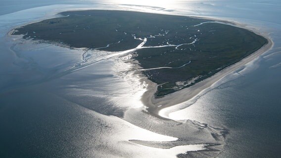Eine Luftaufnahme zeigt die Vogelschutzinsel Mellum. © dpa-Bildfunk Foto: Sina Schuldt