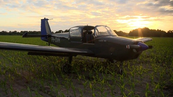 Ein Kleinflugzeug steht auf einem Maisfeld. © NonstopNews 