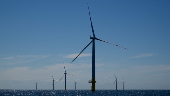 Der Windpark "Baltic 1" in der Ostsee besteht aus 21 Windrädern. © wikipedia Foto: Martin Doppelbauer