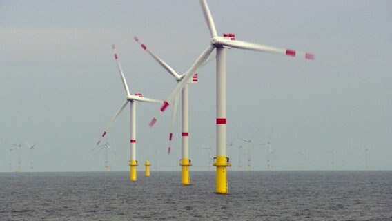 Windkraft-Anlagen stehen in der Nordsee. © NDR 