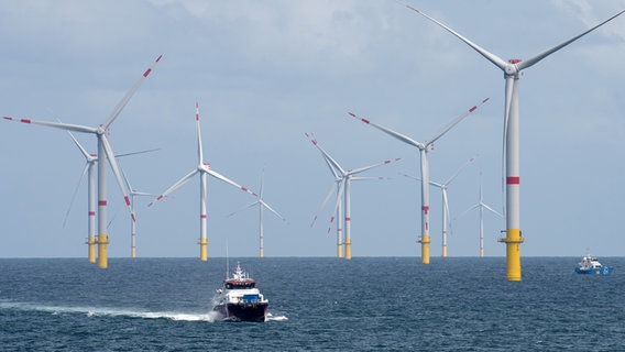 Ein Schiff fährt vor einem Windpark vor Spiekeroog übers Meer. © picture alliance/dpa Foto: Ingo Wagner