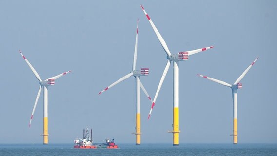 Ein Offshore-Windpark in der Nordsee © dpa-Bildfunk Foto: Sina Schuldt