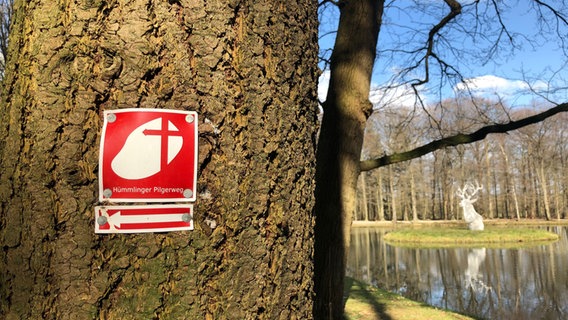 An einem Baum ist ein Hinweisschild mit Symbol zur Richtung des Hümmlinger Pilgerwegs angebracht. © NDR Foto: Hedwig Ahrens