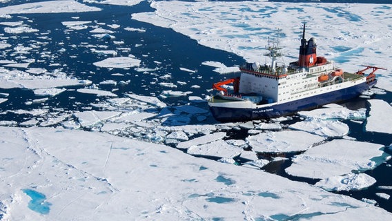 Der deutsche Forschungseisbrecher Polarstern treibt für Forschungsarbeiten im Meereis. © Alfred-Wegener-Institut Foto: Stefanie Arndt