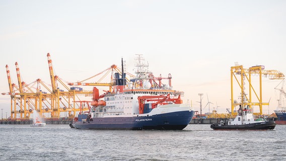 The research ship is back 